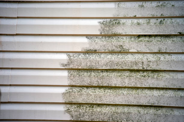 Best Demolition Debris Removal  in Rye Brook, NY