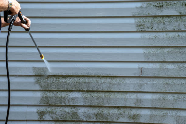 Best Furniture Removal  in Rye Brook, NY